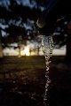 La fontaine Magique et le soleil couchant